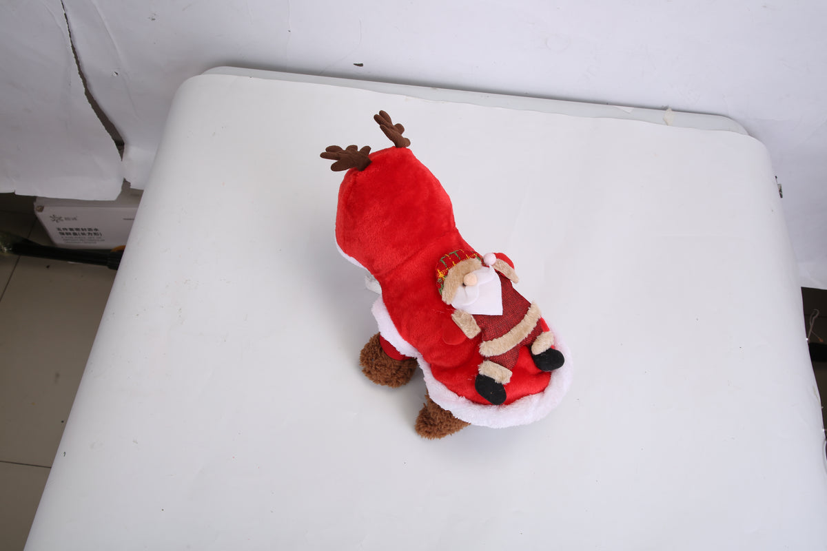 Pet Christmas costume flat lay
