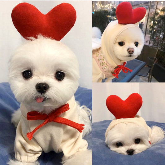 Warm fruit fleece dog hoodie for small dogs – view 2