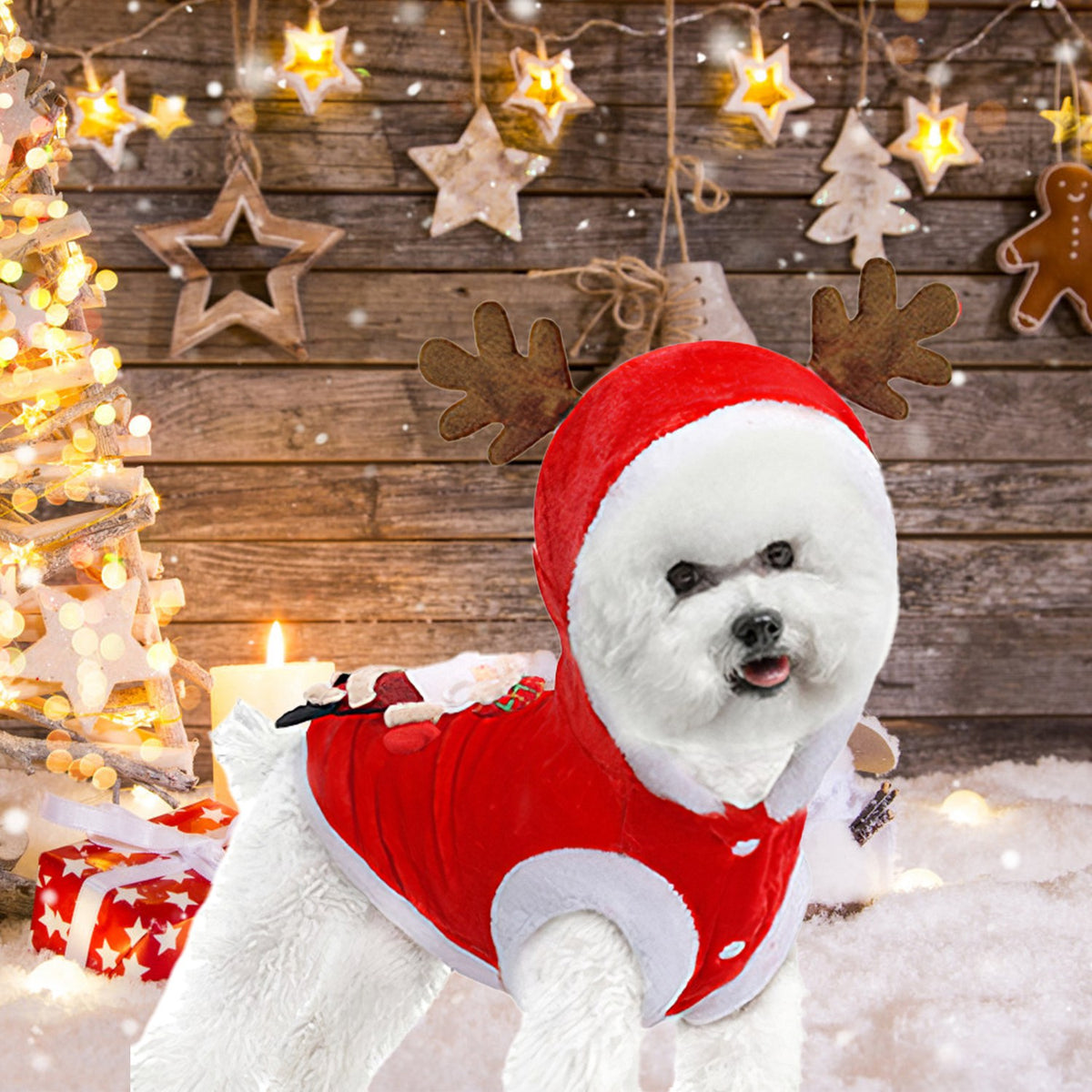 Pet Christmas outfit close-up of antlers and Santa trim