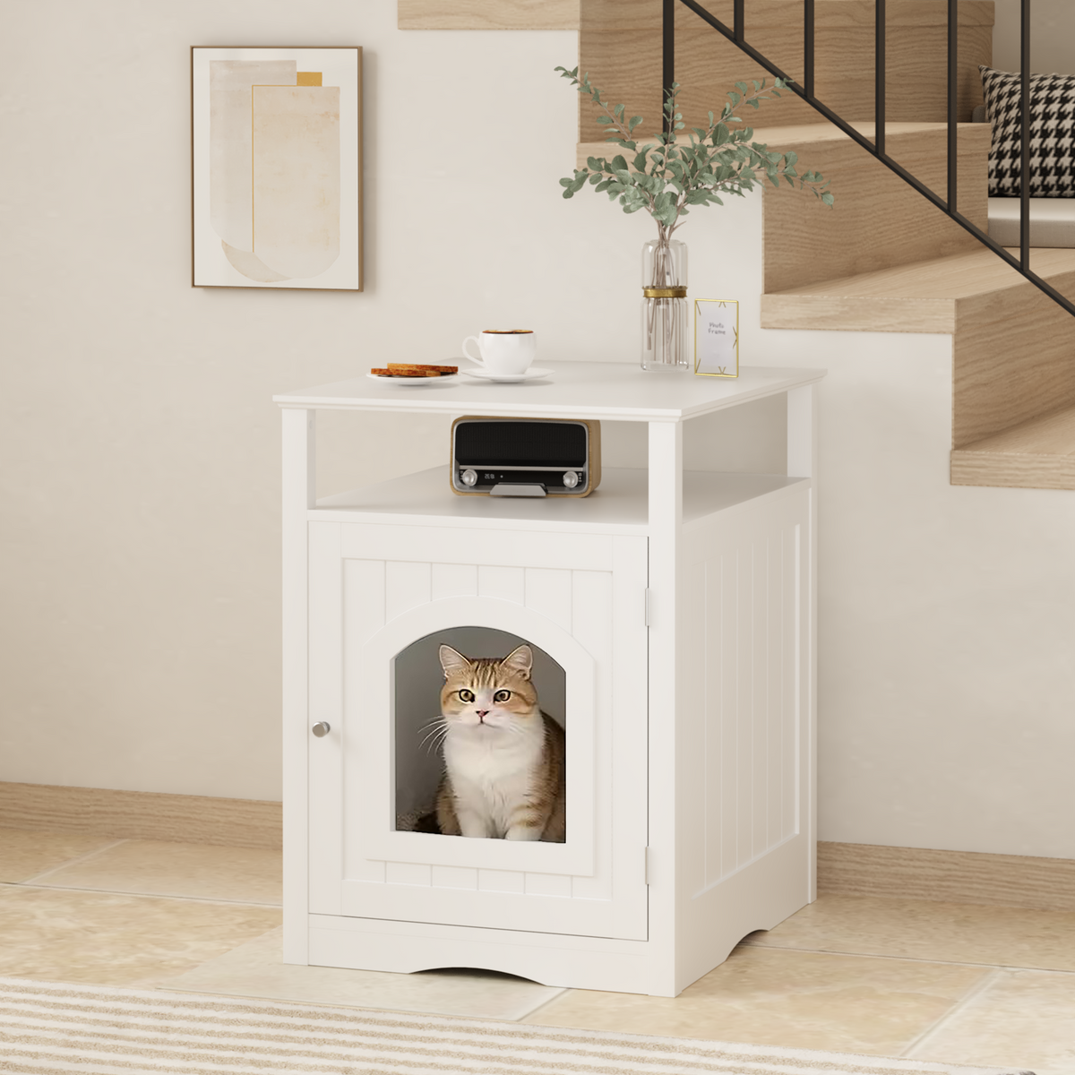 Cat litter cabinet with enclosed cabinet and top shelf